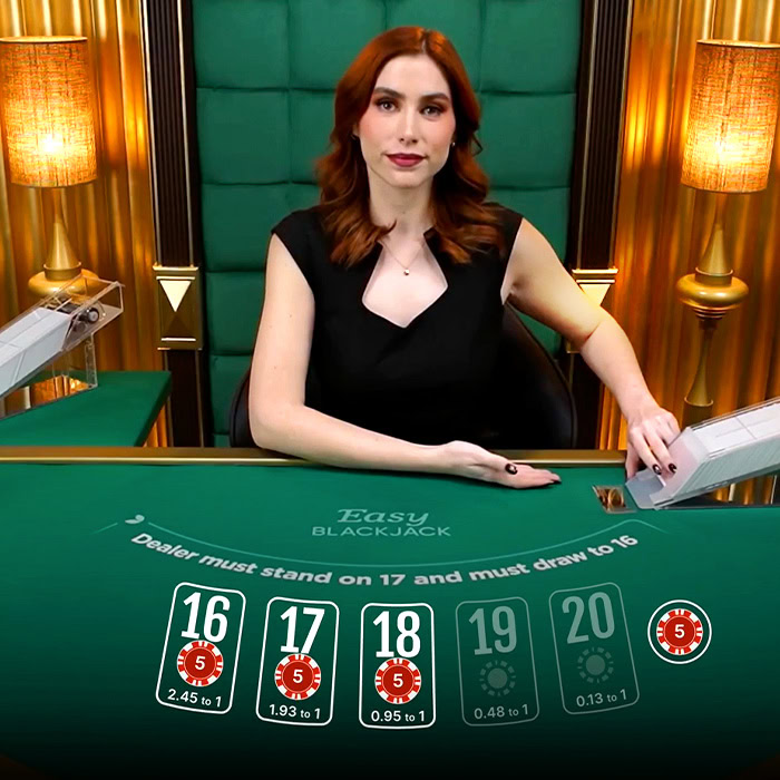 Blackjack 28r